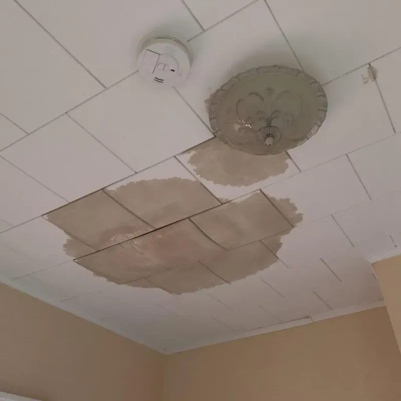Ceiling Water Damage Repair in Lebanon, TN