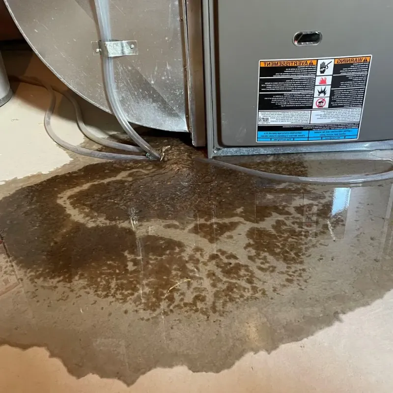 Pipe Burst and Leak Restoration in Lebanon, TN