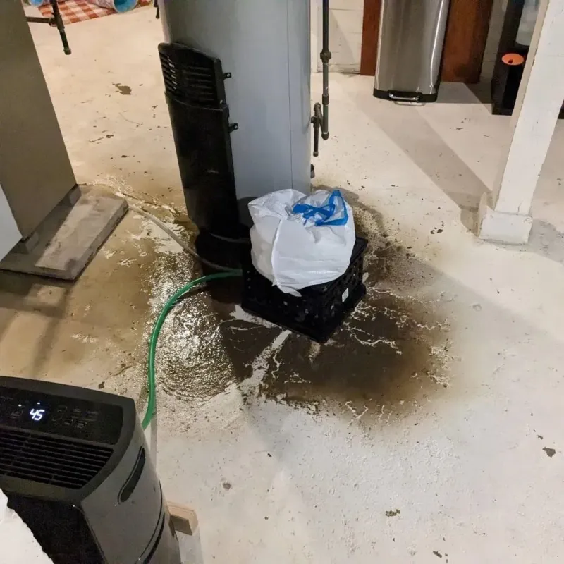 Sewage Backup Cleanup Service in Lebanon, TN